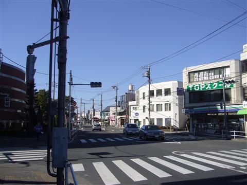 桜街道写真画像