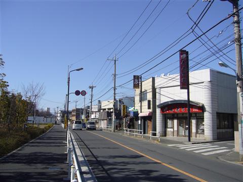 桜街道写真画像