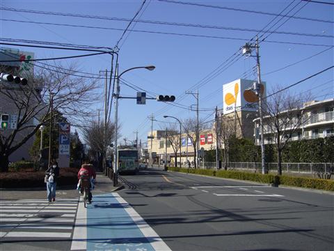 桜街道写真画像
