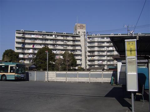南街バス停写真画像