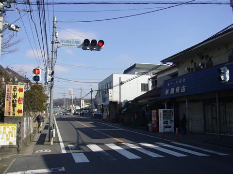 平山城址公園駅交差点写真画像