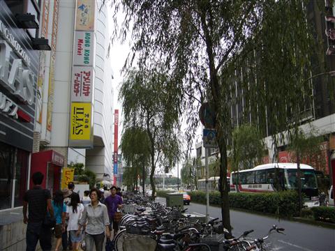 吉祥寺大通り写真画像