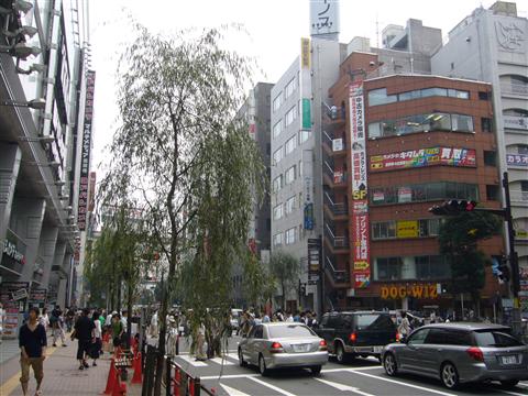 吉祥寺大通り写真画像