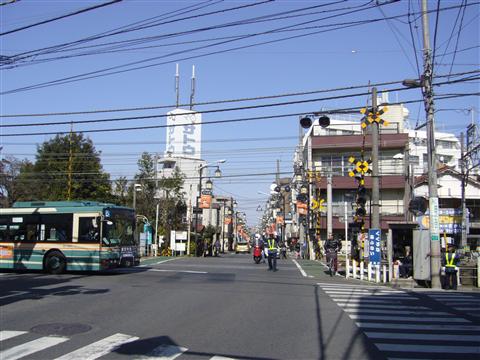 清富士通り(小金井街道)写真画像