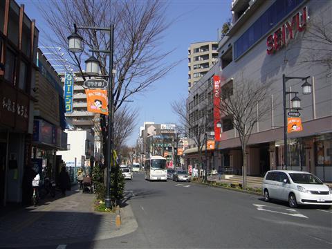 けやき通り写真画像