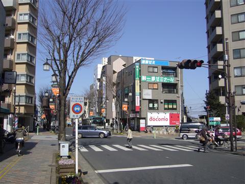 けやき通り写真画像