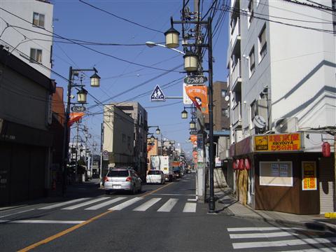 小金井街道写真画像