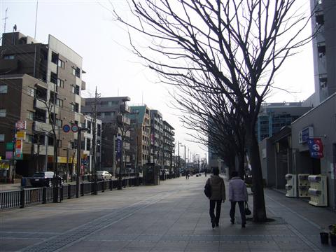 あかしあ通り写真画像