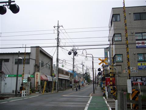 市役所通り写真画像