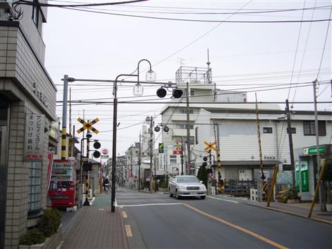 市役所通り写真画像