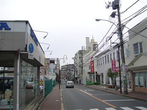 市役所通り写真画像