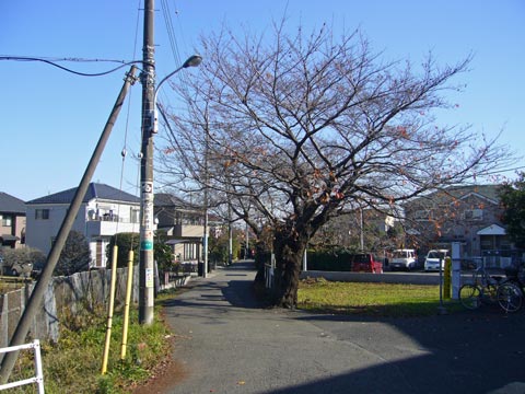 JR小宮駅東口前写真画像