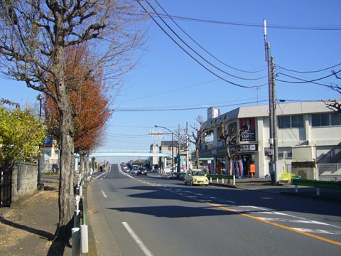 都道５９号線(八王子村山線)写真画像