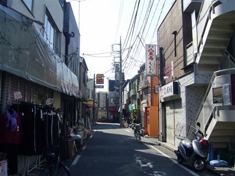 南平写真画像
