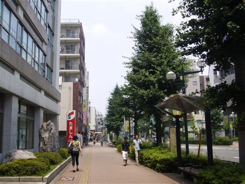三鷹通り写真画像