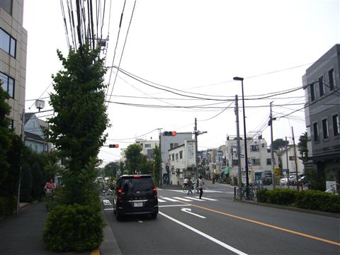 井ノ頭通り写真画像