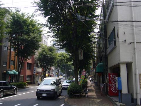 三鷹通り写真画像