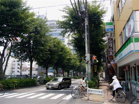 三鷹通り写真画像