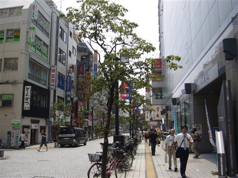 中央通り写真画像