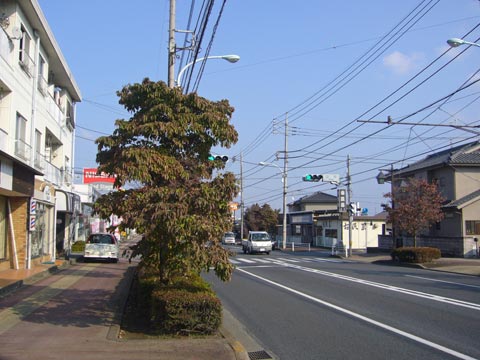 五日市街道写真画像