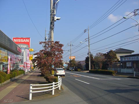 五日市街道写真画像