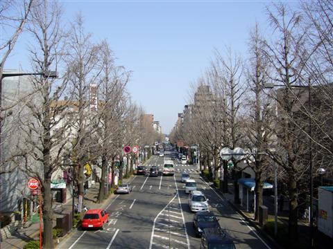 甲州街道(国道20号線)写真画像