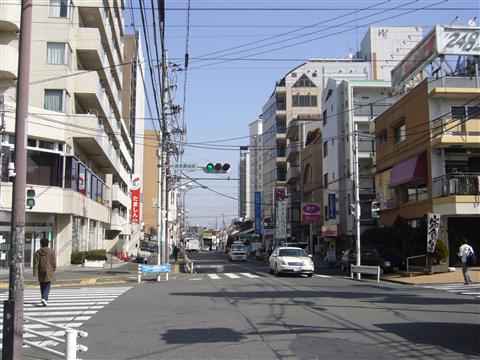 けやき通り写真画像