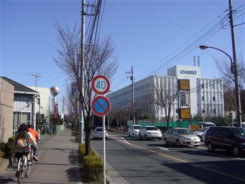 桜街道写真画像