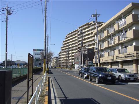 桜街道写真画像