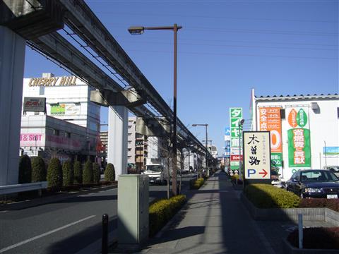 芋窪街道写真画像