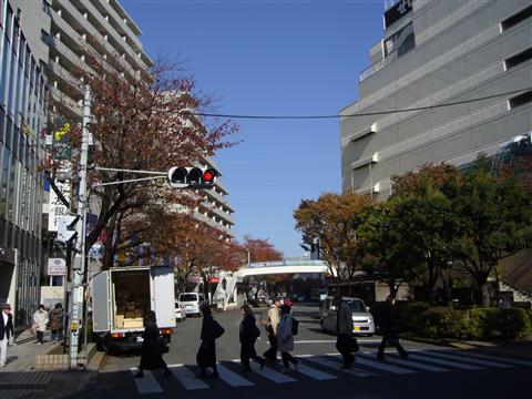 聖蹟Ｕロード写真画像