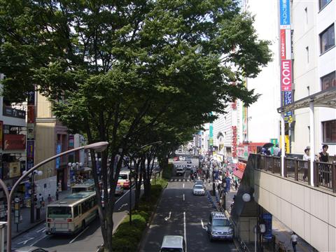 北口大通り写真画像
