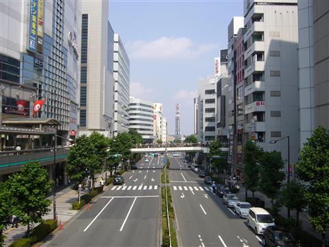 緑川通り写真画像