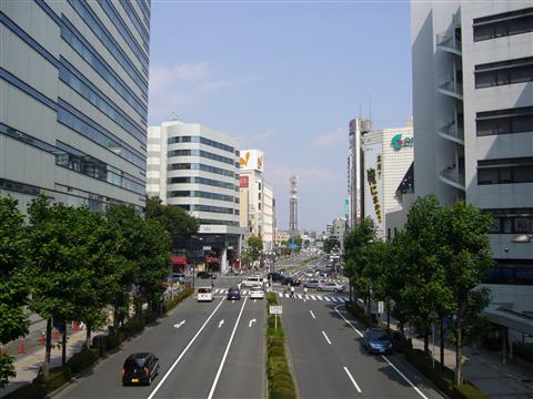 緑川通り写真画像