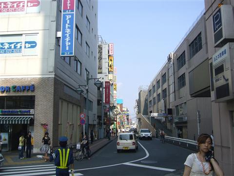 柳通り写真画像