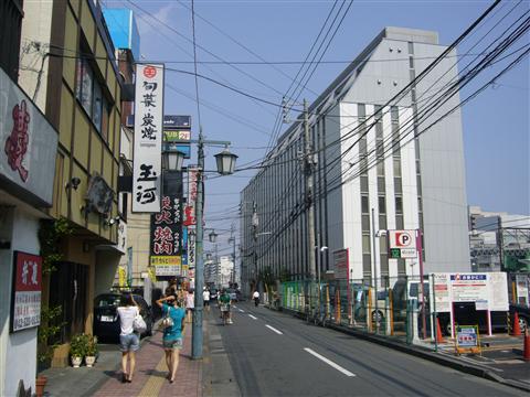 柳通り写真画像