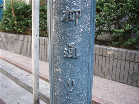 柳通り写真画像