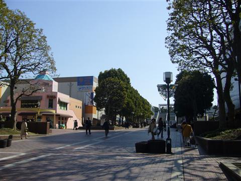 パルテノン大通り写真画像