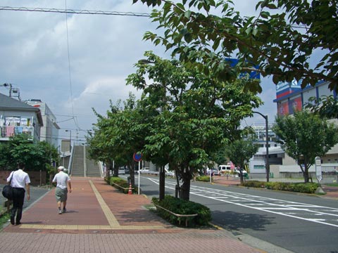 スタジアム通り写真画像
