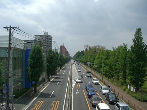 甲州街道(国道２０号線)府中方面写真画像