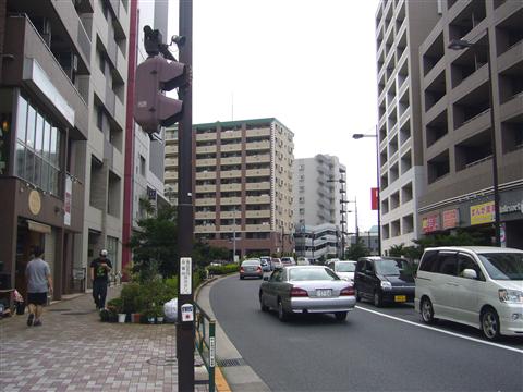 鶴川街道(都道3号線世田谷町田線)写真画像