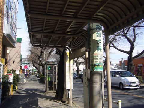 矢川通り写真画像