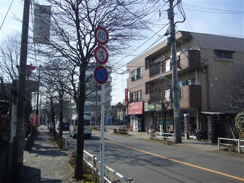 矢川通り写真画像
