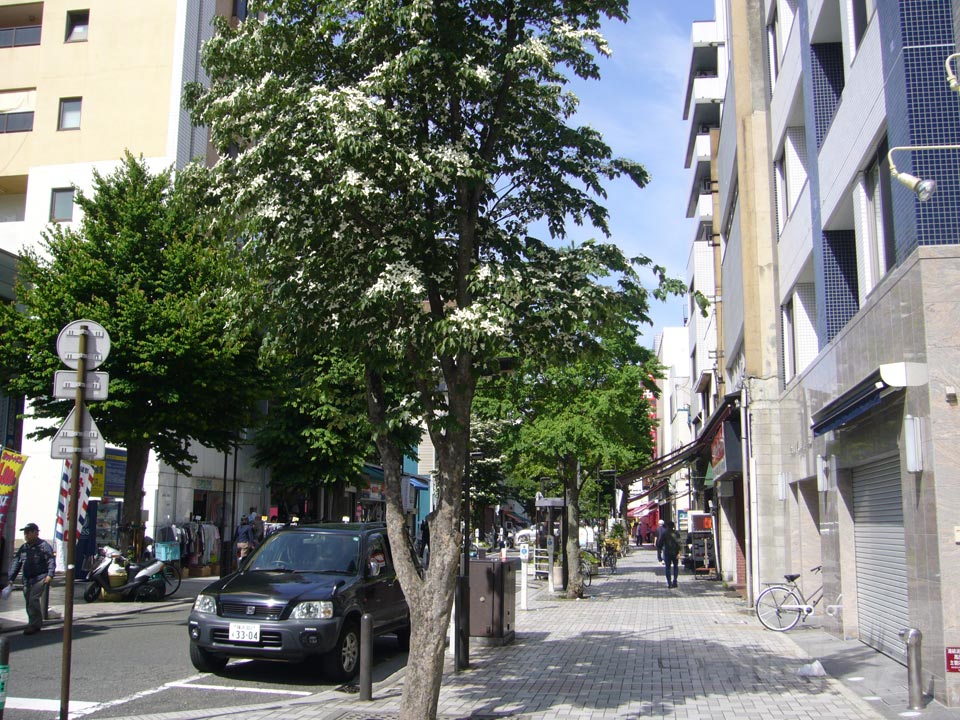伊勢佐木町通り