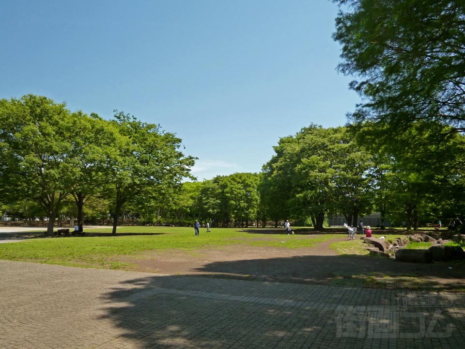 中央公園写真画像