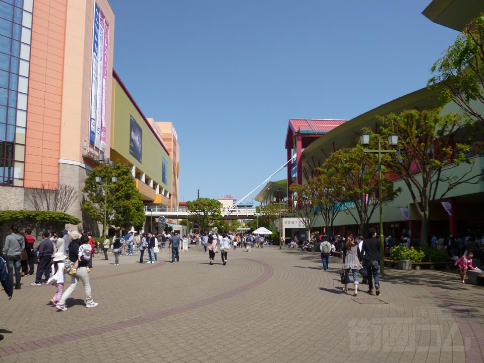 海老名中央公園
