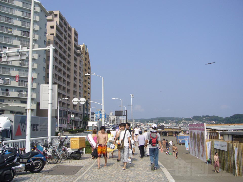 国道134号線