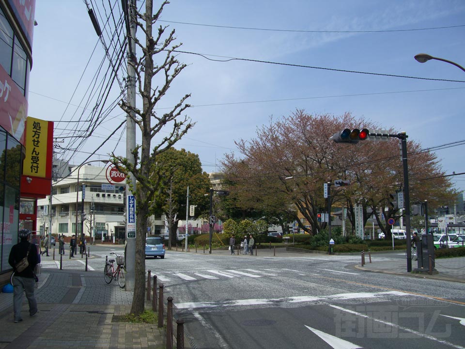 ペガサス通り写真画像