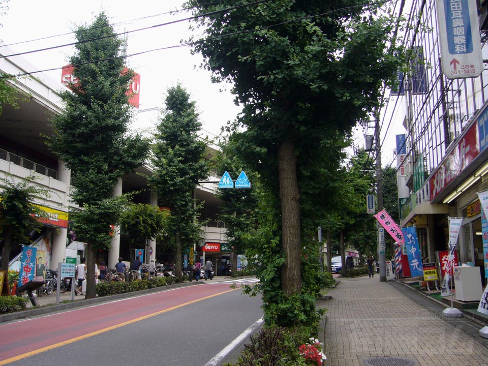 自然公園通り写真画像