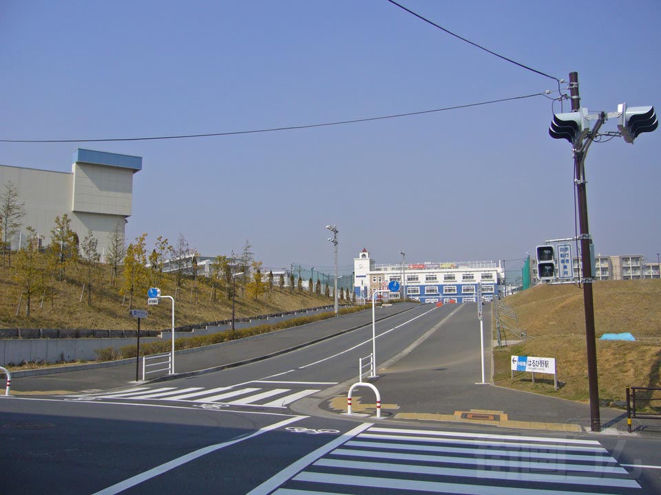はるひ野写真画像